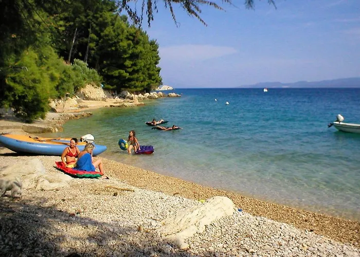 Zavode 11786b 公寓